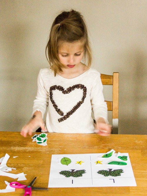 Preschool Leaf Activity Pack