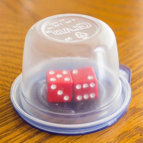 Dice in a Container -- Moms Have Questions Too