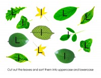 Leaf-Letter-Sort