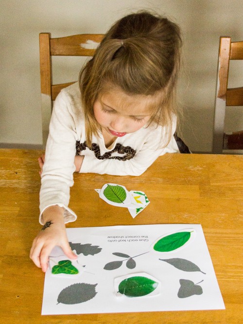 Preschool Leaf Activity Pack