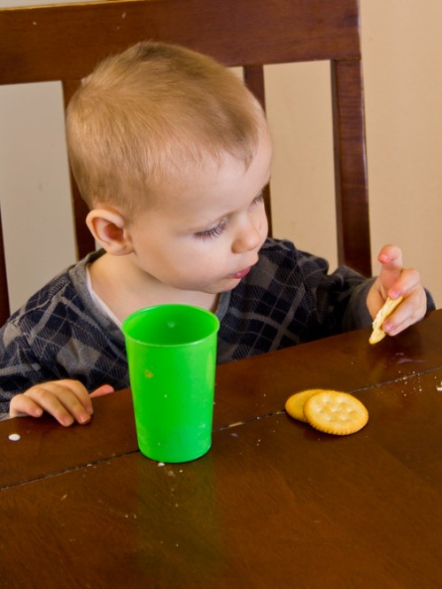 Toddler Discipline Tips -- Moms Have Questions Too