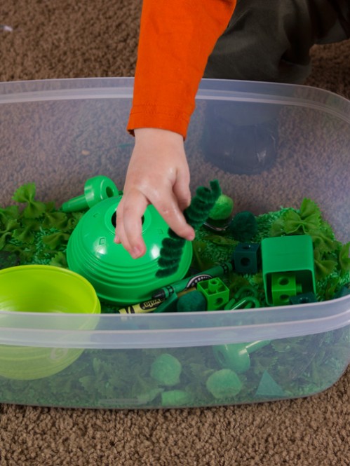 Sensory Bins Color Games for Toddlers -- Moms Have Questions Too