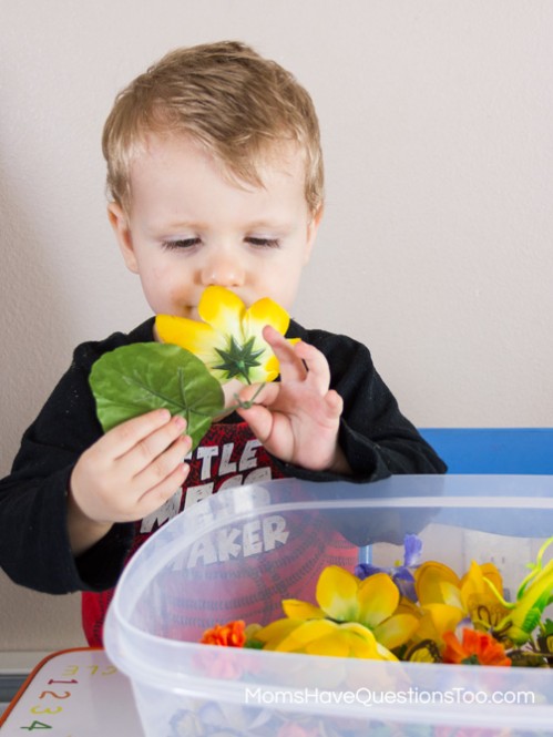Smelling a flower from the spring sensory bin - Moms Have Questions Too