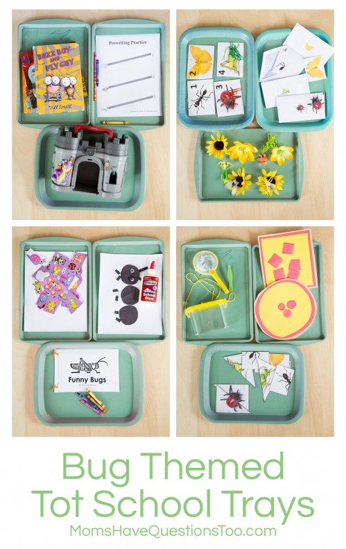 Bug Themed Tot School Trays - Moms Have Questions Too