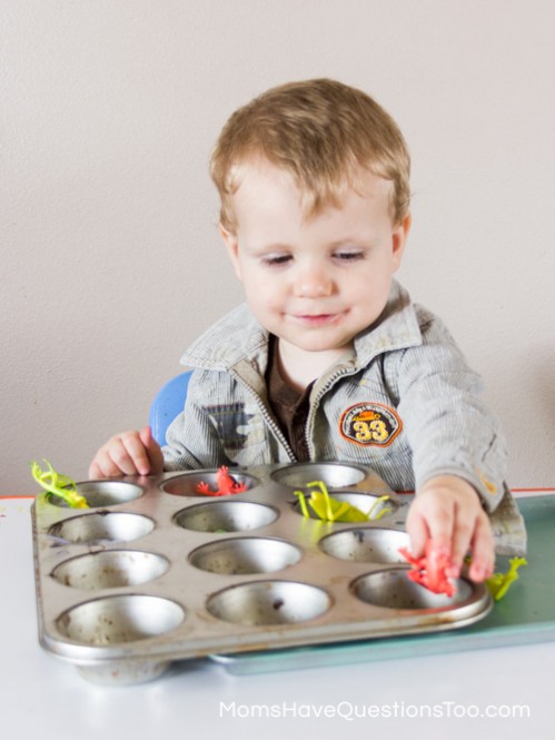 Bugs in Cupcake Tin - Spring Tot School Trays - Moms Have Questions Too