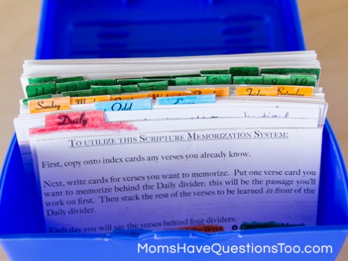 Memorization Cards - Moms Have Questions Too