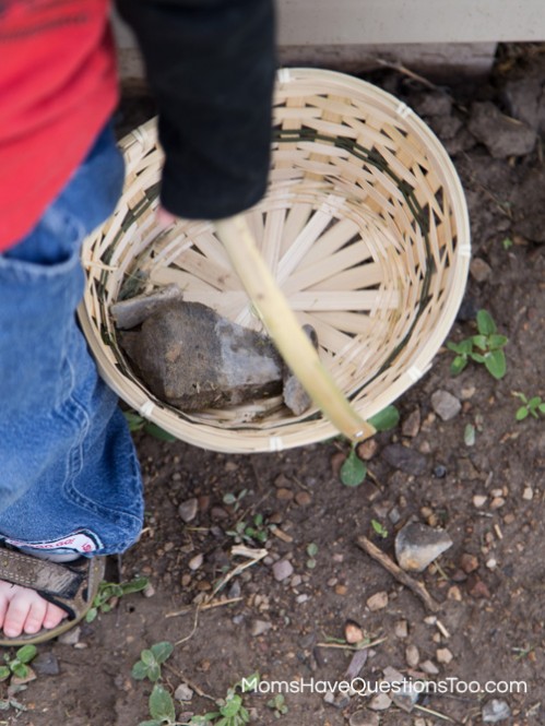 Start a rock collection with your kids! www.momshavequestionstoo.com