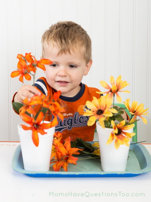 Sorting flowers by color - Moms Have Questions Too