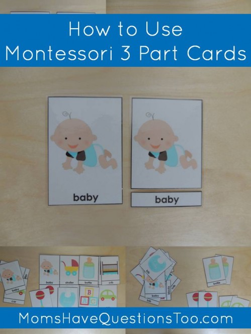 How to Use Montessori 3 Part Cards