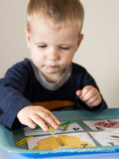 Teach numbers and counting with tot trays. Ideas for number cards, numbered cups and objects, printables, and dice activities.