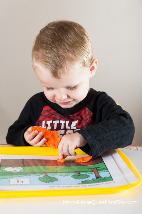 Teach numbers and counting with tot trays. Ideas for number cards, numbered cups and objects, printables, and dice activities.