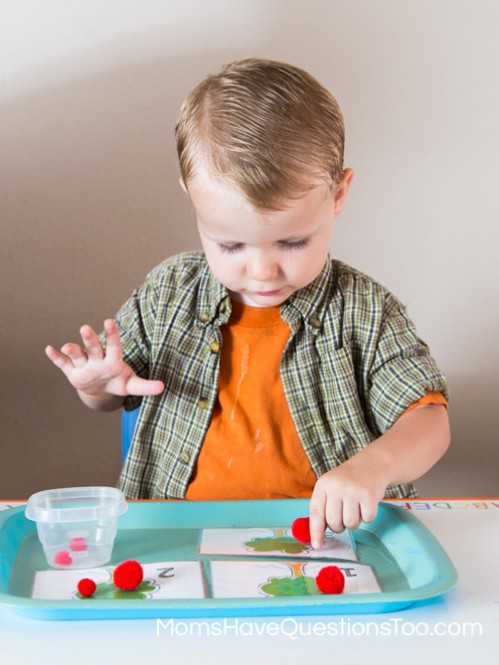 Teach numbers and counting with tot trays. Ideas for number cards, numbered cups and objects, printables, and dice activities.