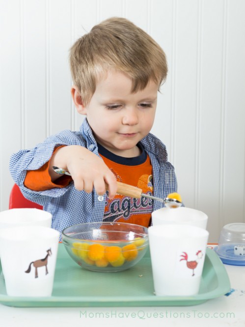 Teach numbers and counting with tot trays. Ideas for number cards, numbered cups and objects, printables, and dice activities.