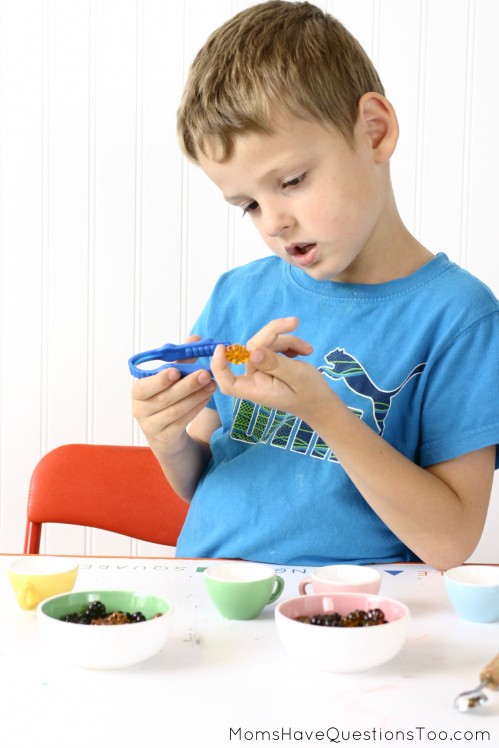 15 toddler activities that use table scatter (also called math manipulatives). These teach counting, creativity, fine motor, and more!