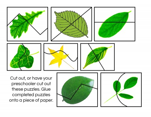 Leaf-Cutting-Puzzles