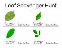 Leaf-Scavenger-Hunt-2