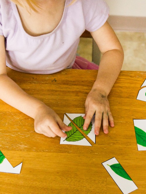 Preschool Leaf Activity Pack