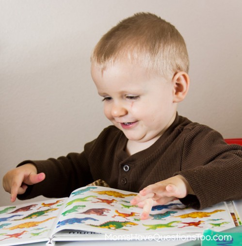 Ball Themed Tot School Trays -- Moms Have Questions Too