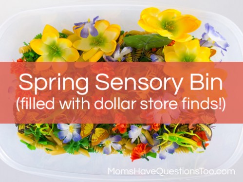 Spring sensory bin using great finds from the dollar store! Moms Have Questions Too