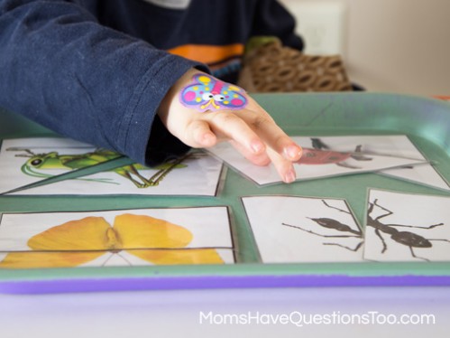 2 Part Puzzles - Bug Themed Tot School Trays - Moms Have Questions Too