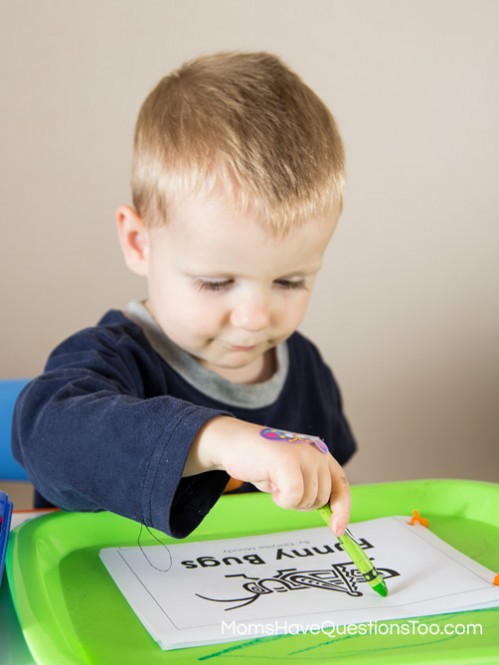 Bug Tot School Book - Bug Themed Tot School Trays - Moms Have Questions Too