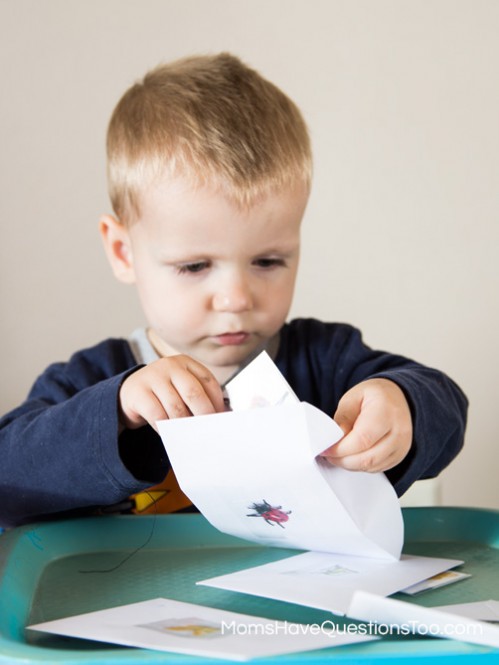 Envelope Picture Match - Bug Themed Tot School Trays - Moms Have Questions Too